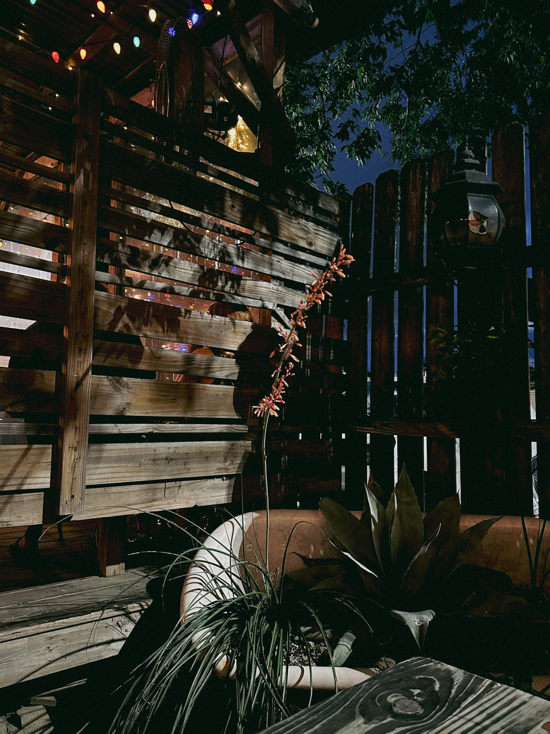 Outdoor patio with string lights and plants at night