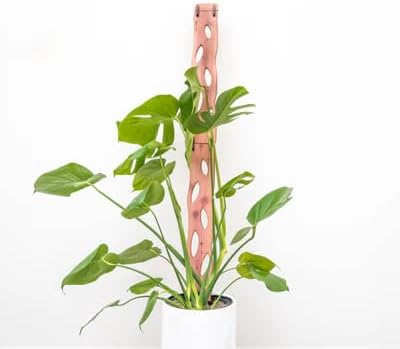 Treleaf Zella Regular Extension Kit by TRELEAF