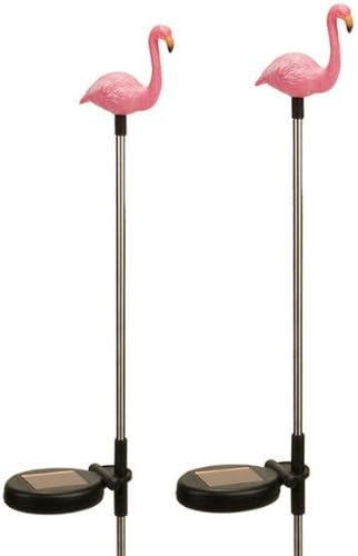 Solar Garden Stake Lights with Color Changing LED or Regular White LED by Ntertainment+House