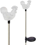 Solar Garden Stake Lights with Color Changing LED or Regular White LED by Ntertainment+House