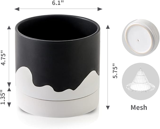 Nihow Ceramic Plant Pot: 6 Inch Planter - Image 2