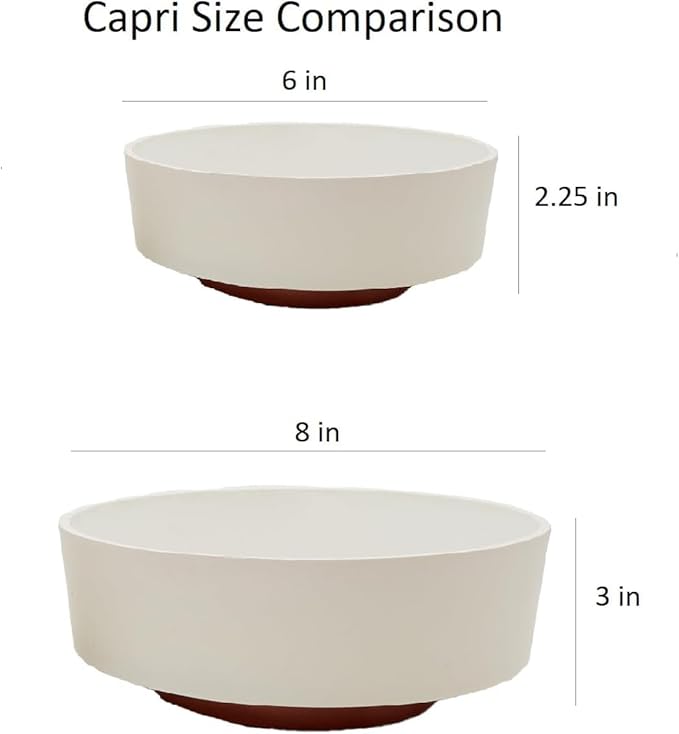 The HC Companies 8 Inch Round Plastic Succulent Capri Bowl Decorative Indoor - Image 6