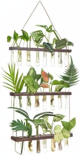 Mkono Plant Propagation Tubes, 3 Tiered Wall Hanging Terrarium - Image 7