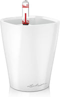 Lechuza MINI-DELTINI Cream White High Gloss, Self-Watering Small Indoor Planter by LECHUZA