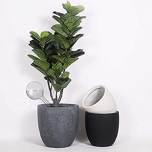 10 Pcs Clear Plant Watering Globes, Plastic Self-Watering Bulbs, Flower - Image 6
