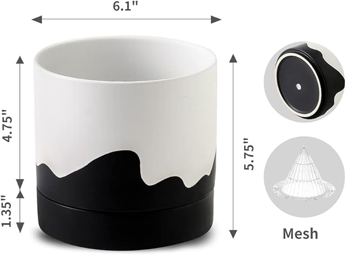 Nihow Ceramic Plant Pot: 6 Inch Planter - Image 2
