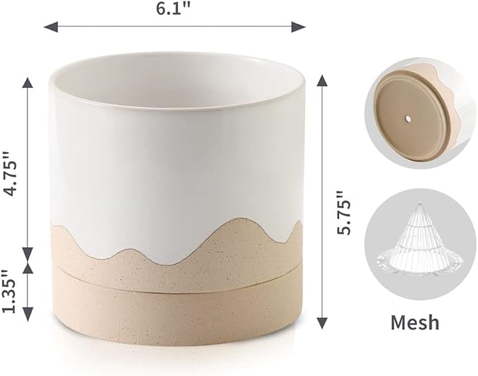 Nihow Ceramic Plant Pot: 6 Inch Planter - Image 2