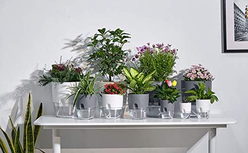 Self Watering Planter for Indoor Plants, 2 Pack 9.3 Inch Flower Pot Modern - Image 5