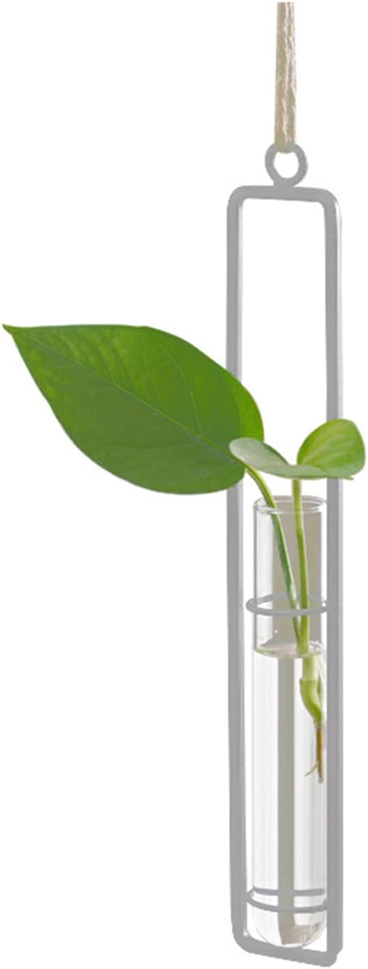 3 Pieces Hanging Plant Glass Test Tubes Hydroponic Vase Planters Wall-Mounted - Image 2