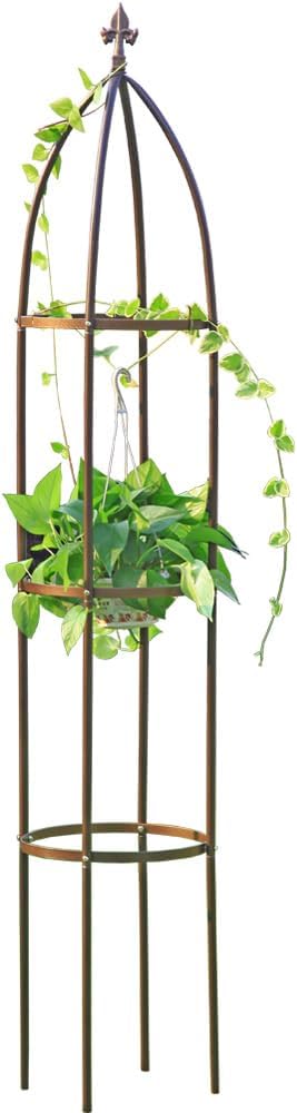 100% Metal Obelisk Garden Trellis 6.3 Feet Tall Sturdy Plant Support by LeJoy+Garden