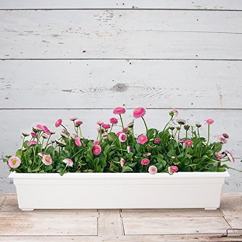 Root & Vessel 16362 Countryside Flower Box Planter - Image 3