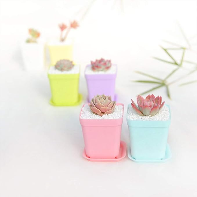24 Pack 3inch Multi Color Square Plastic Plant Pots, Seedling Nursery - Image 7