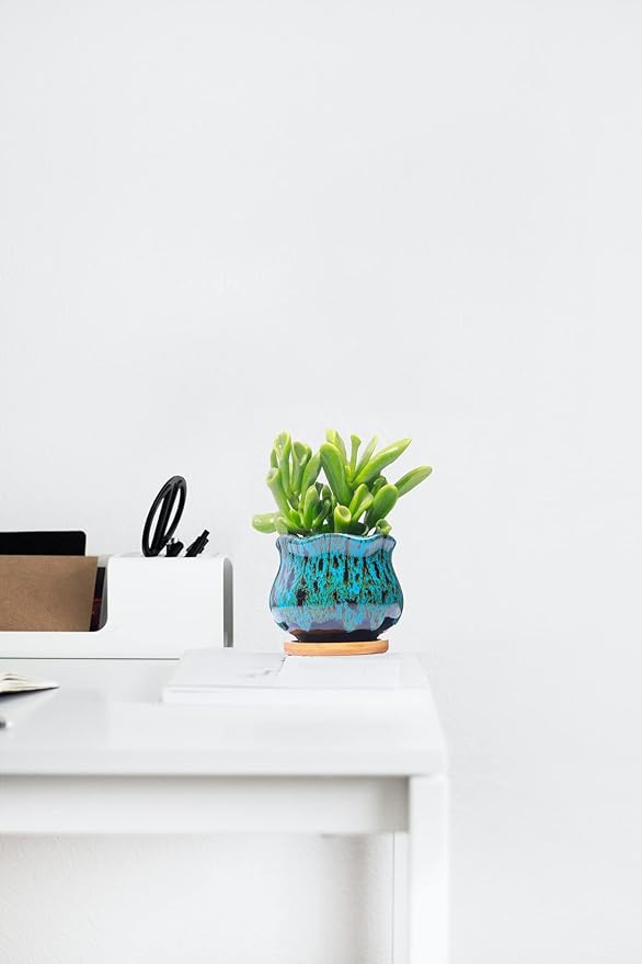 Cute Ceramic Succulent Garden Pots, Planter - Image 3