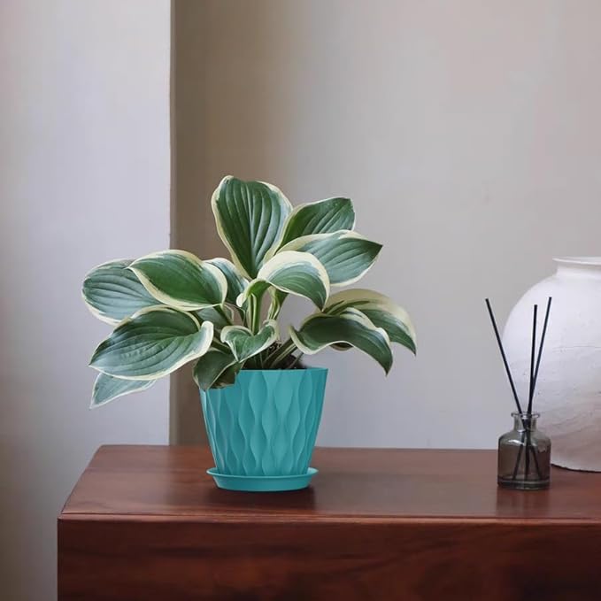 5 Inch Planter Pots, 6 Pack Indoor Planters, Small Flower Pots - Image 6