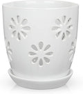 Oairse 6 inch Orchid Pots with Holes, Indoor Plant by Oairse