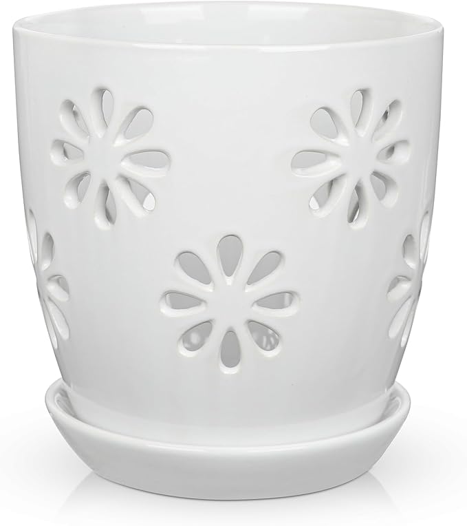 Oairse 6 inch Orchid Pots with Holes, Indoor Plant by Oairse