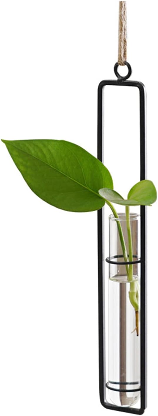 3 Pieces Hanging Glass Hydroponic Planter Transparent Test Tube Plant Vase - Image 6