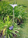 Solar Garden Stake Lights with Color Changing LED or Regular White LED by Ntertainment+House
