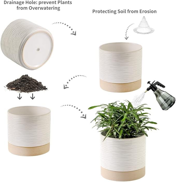 Nihow Ceramic Plant Pot: 6 Inch Planter - Image 3