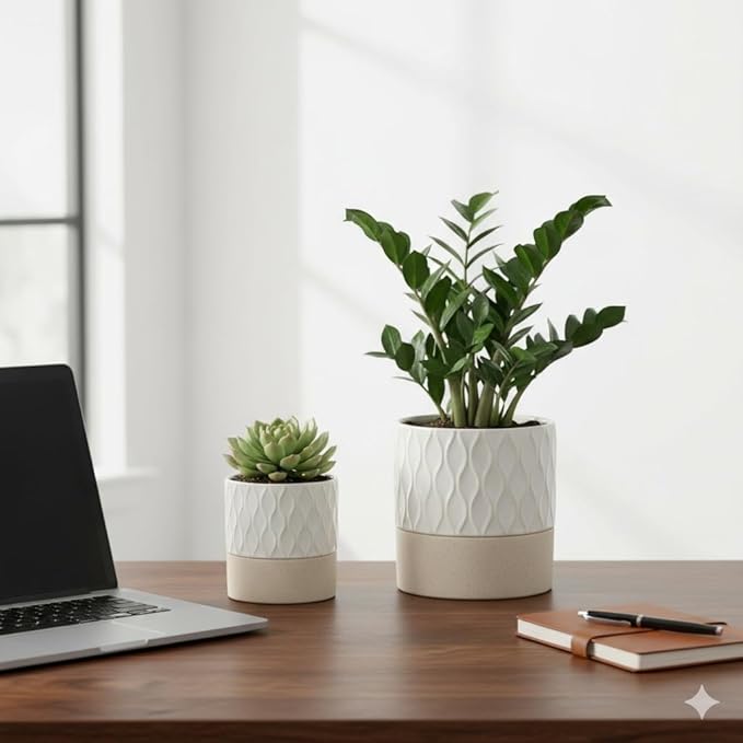 Nihow Self Watering Plant Pot for Indoor Plants: 6 Inch Ceramic Planter - Image 7