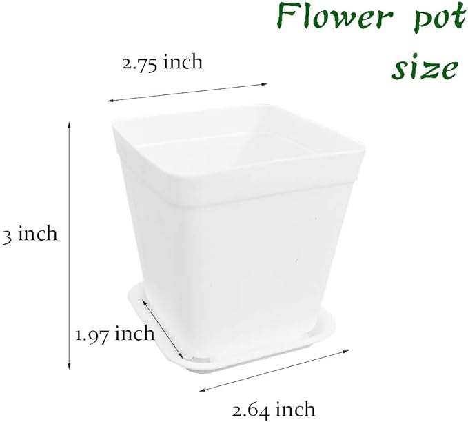 24 Pack 3 Inch White Square Plastic Plant Pots - Image 2
