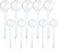 10 Pcs Clear Plant Watering Globes, Plastic Self-Watering Bulbs, Flower by -PlantWateringGlobes-