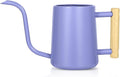 Watering Can Indoor Plants, 35 oz/1000 ml Metal Stainless Steel Watering Can Pot by Unknown
