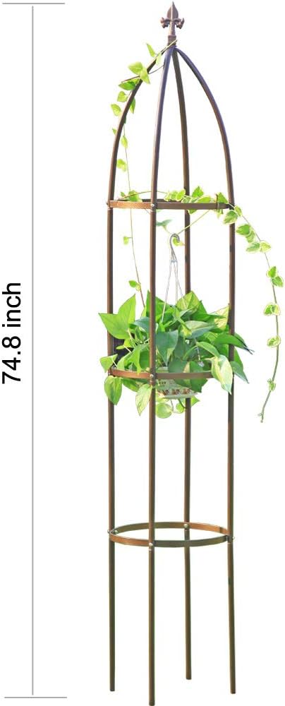 100% Metal Obelisk Garden Trellis 6.3 Feet Tall Sturdy Plant Support - Image 6