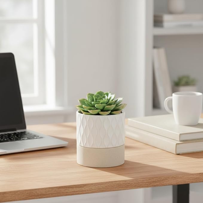 Nihow Self Watering Plant Pot for Indoor Plants: 4.5+6 Inch Ceramic Planter - Image 6