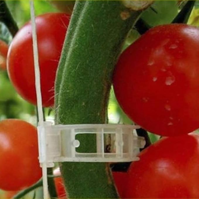 100PCS Plant Support Garden Clips Tomato Clips Supports/Connects - Image 3