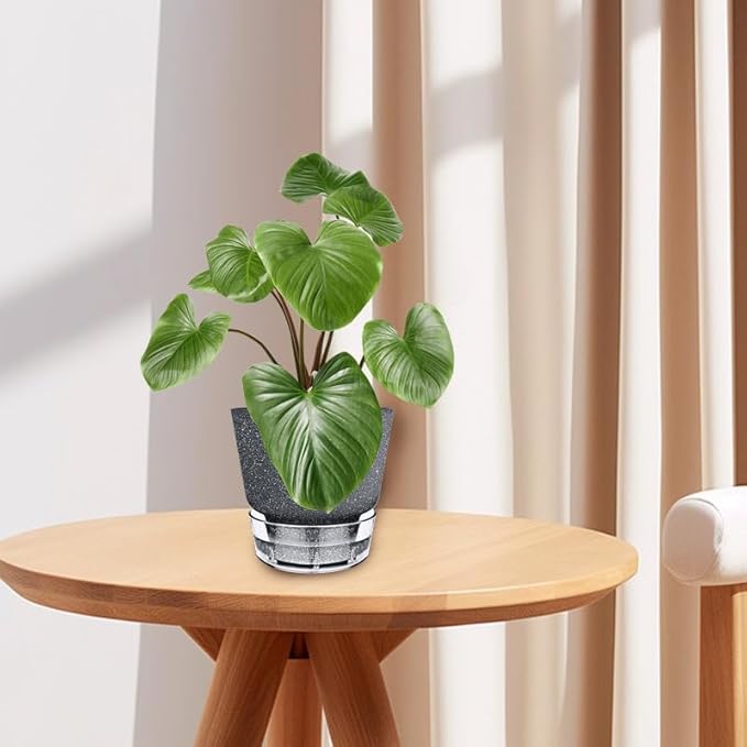 2024 Upgraded 5 Pack 6-Inch Self-Watering Planter Pots - Image 7