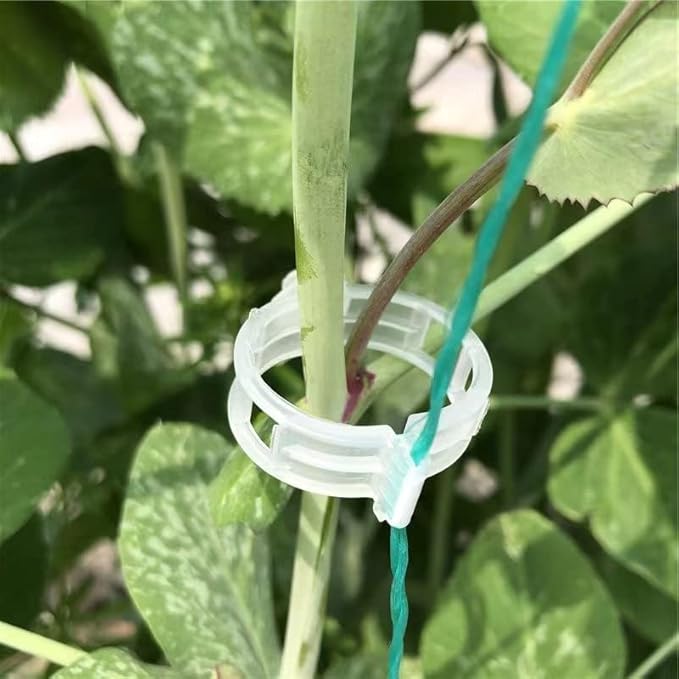 Piteno® 300Pcs Tomato Clips, Plastic Trellis Clips, Plant Support Clips - Image 3