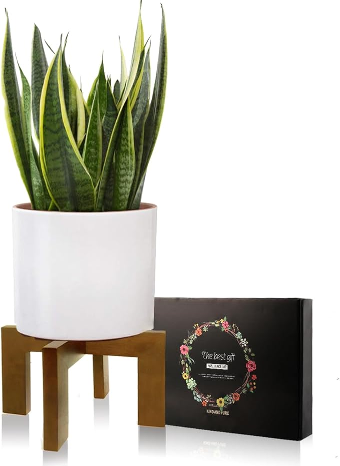 Wood Plant Stand, Mid Century Modern Planter Stand Rattan Flower Pot Stand - Image 2