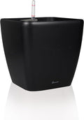 Dexceder 15x14 Self Watering Planter by Dexceder