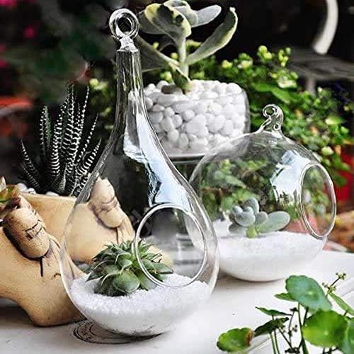Mkono 3 Pack Glass Hanging Planter Air Fern Holder Terrarium Plants Hanger Vase - Image 6