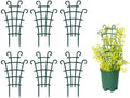 6PCS Trellis for Potted Plants, Stackable Indoor Plant Trellis for Climbing by Unknown