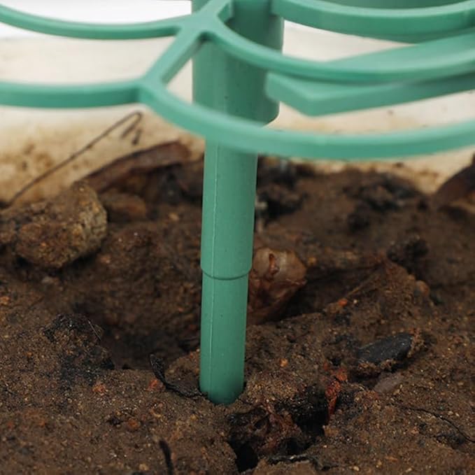 Comimark 12 PCS Grow Your Garden - Image 4