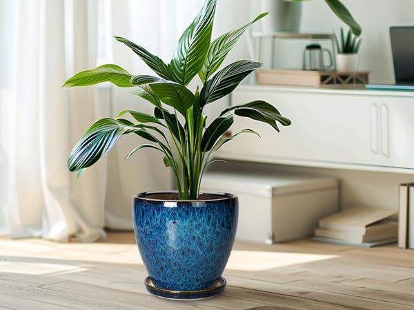 8 Inch Ceramic Planter Pot - Image 8