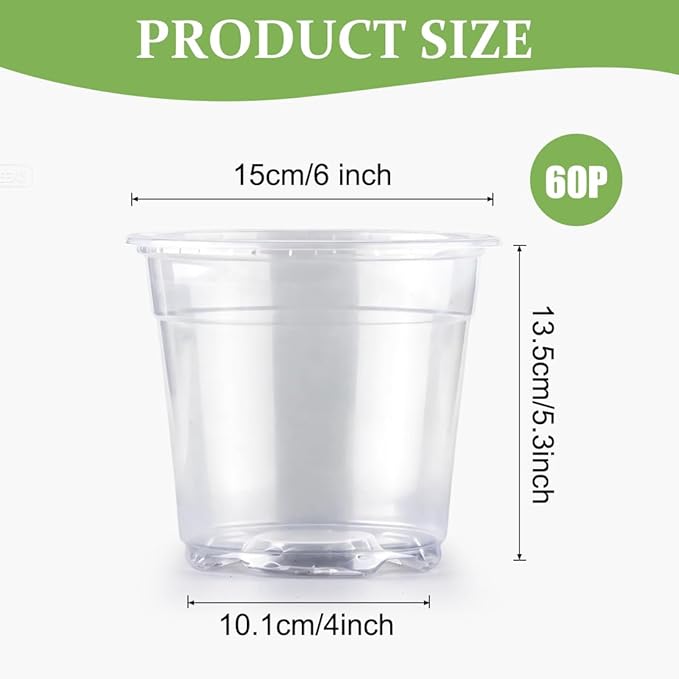 60 Pack 6 Inch Clear Nursery Pots - Image 2