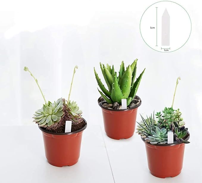 JERIA 100-Pack 4 Inch Plastic Plant Nursery Pots Come - Image 3