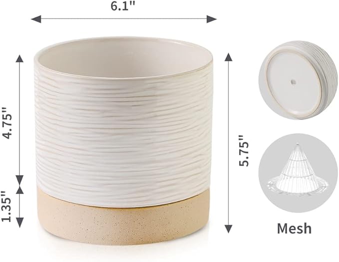 Nihow Ceramic Plant Pot: 6 Inch Planter - Image 2