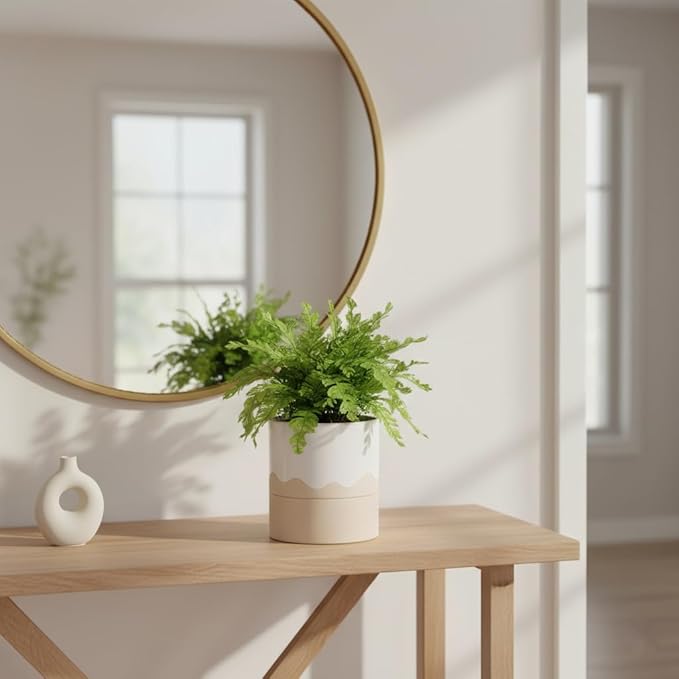 Nihow Self Watering Plant Pot: 6 Inch Ceramic Planter - Image 8