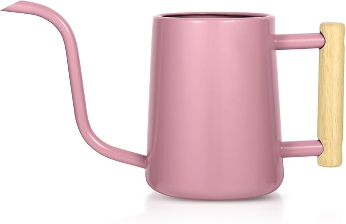 Watering Can Indoor Plants, 35 oz/1000 ml Metal Stainless Steel Watering Can Pot by Unknown