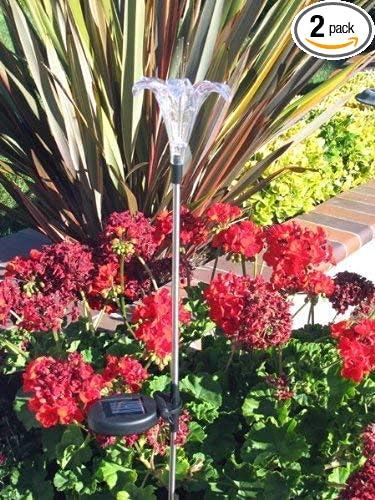 Solar Powered Garden Stake LED Light by RELIGHTABLE