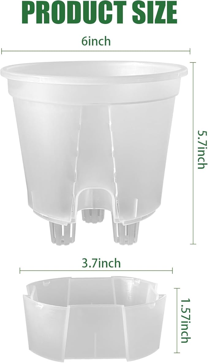 Cdd's Path 5-Pack 6 Inch Self Watering Naked Root Planter Pots - Image 2