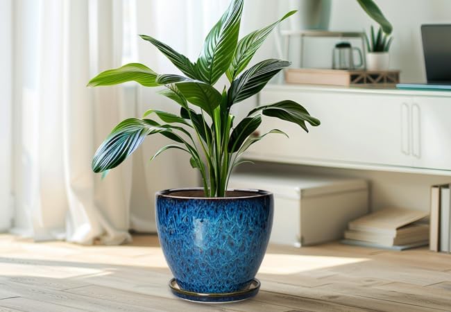 10 Inch Ceramic Planter Pot Round Plant Pot - Image 8