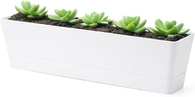 GREANER 16x3.8 Inch Window Boxes Planters, Indoor Succulent Cactus Flowers by GREANER