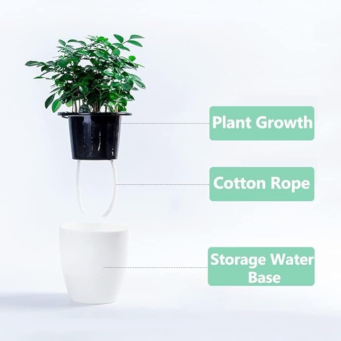 2 Pcs 3.5“ Self Watering Planter White Flower Pot, Flowers Plants, Small Mini - Image 5