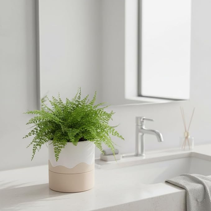 Nihow Self Watering Plant Pot: 6 Inch Ceramic Planter - Image 9