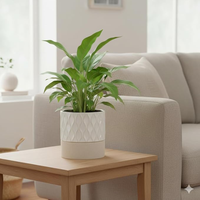 Nihow Self Watering Plant Pot for Indoor Plants: 6 Inch Ceramic Planter - Image 4
